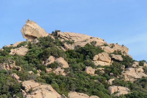 Le Lion - Point de vue Corse
