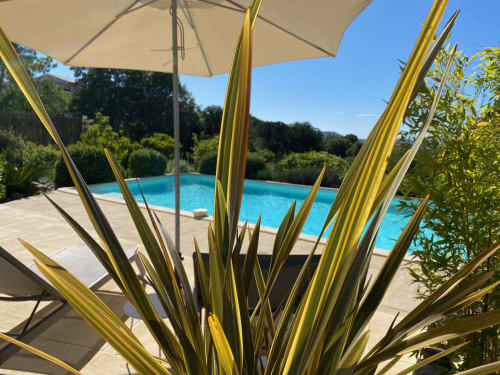 Vue sur piscine Villa Limone La maison d'hôtes de Calenzana