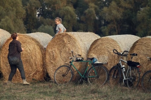 Promenade vélo Marais Poitevin