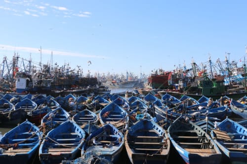 puerto de Essaouira