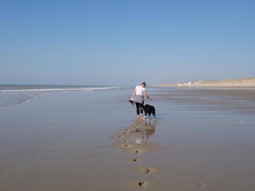 plage de Baie de Somme - chambres d'hôtes - Vieille Ecluse