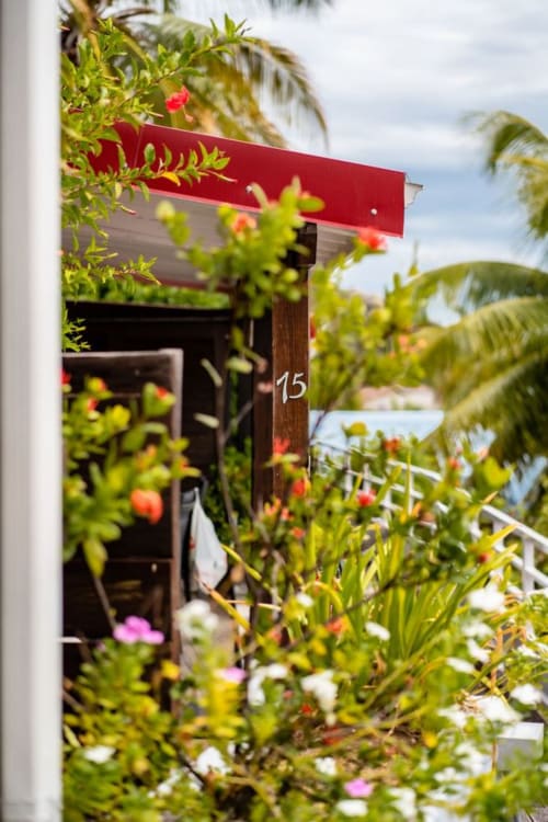 flower and bungalow - visit the West Indies - oyster pond balconies