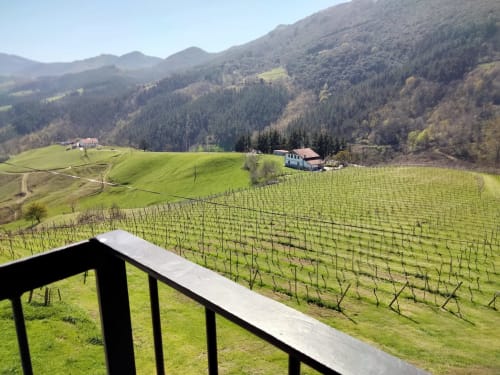 Maison de ferme Erlete Goikoa - Deba, Pays basque