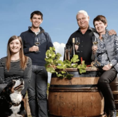 Wine tasting in Alsace