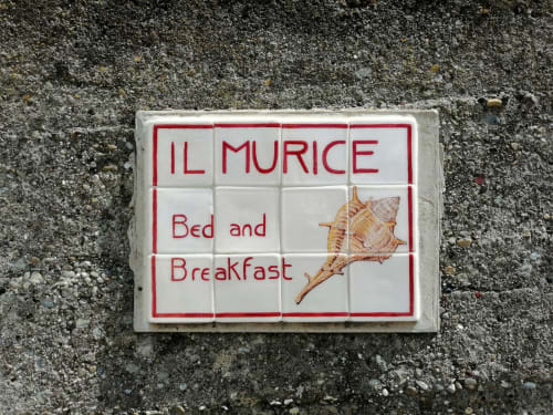 Il Murice B&B - Vezzano Ligure loc. Carozzo, La Spezia, B&B, 5 terre, sea, free parking, garden, relax, silence, privacy, cleanliness, breakfast, La Spezia, golfo dei poeti, Portovenere, Lerici, hill, wifi, air conditioning