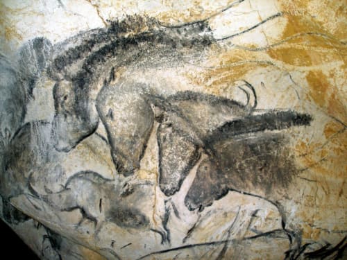 La grotte Chauvet II
