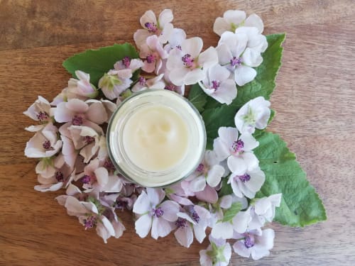 DIY - Ateliers découverte cosmétiques - crème et bien-être - vacances  en Provence  - chambres d’hôtes La Goutadou proche Saint Rémy de Provence Arles Avignon Isle sur la Sorgues