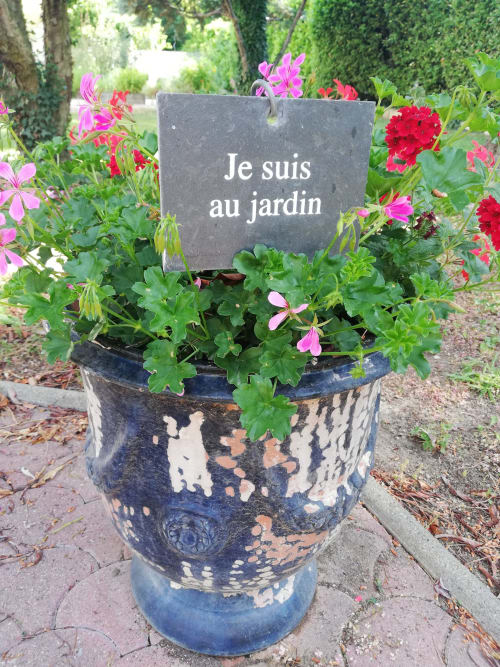 fleurs du jardin - séjour en Provence - maison d’hôtes La Goutadou