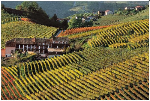 Villa Scati B&B e appartamenti | Melazzo, Piemonte - parcheggio, piscina e palestra, massaggi, ristorante, cantine, bar, ricevimenti, matrimoni, eventi 