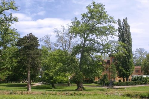 Giardino - Villa Scati B&B e appartamenti | Melazzo, Piemonte - parcheggio, piscina e palestra, massaggi, ristorante, cantine, bar, ricevimenti, matrimoni, eventi 