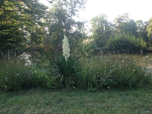 Giardino - Villa Scati B&B e appartamenti | Melazzo, Piemonte - parcheggio, piscina e palestra, massaggi, ristorante, cantine, bar, ricevimenti, matrimoni, eventi 