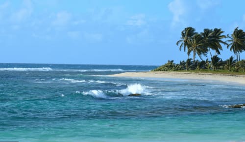 Plage de Guadeloupe proche Le Moule | Domaine Bonheur Indigo