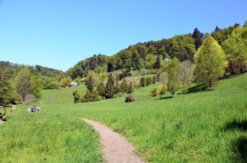 L'Arboretum d'Aubonne en Suisse à proximité de Rolle en Suisse