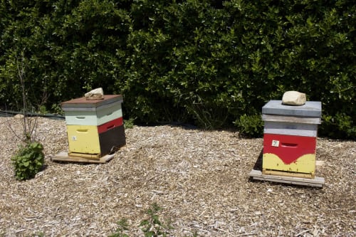 Two colorful beehives at Espace Ker Gana, a French bed and breakfast in Plourin with lush hedges nearby.