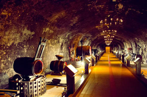 visite des caves à vins - Champagne