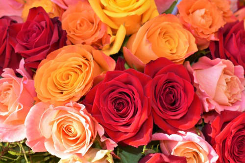 bouquet de fleur - La Bertonnerie