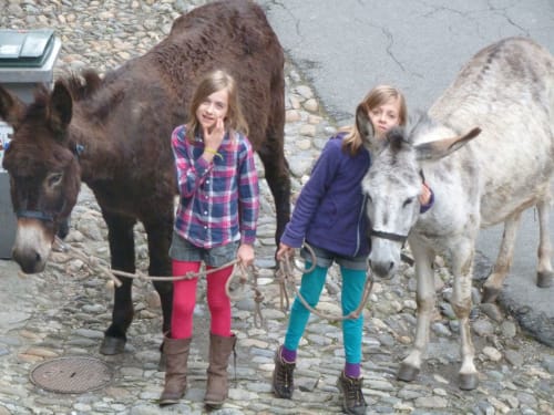 Balade à dos d'âne dans la cité de Conflans, réserver un séjour en Savoie