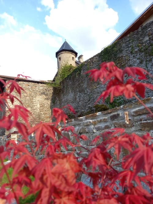 Maison d'hôte avec jardin dans une cité médiévale - Situé à Conflans, Albertville