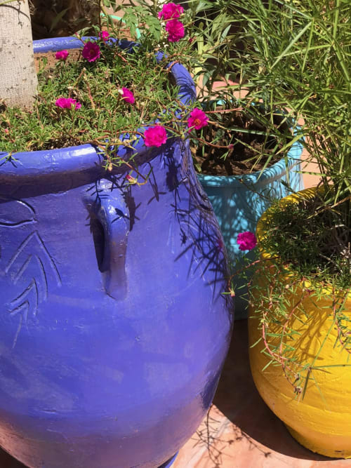 fleur - riad ajarif et tawargit à marrakech 