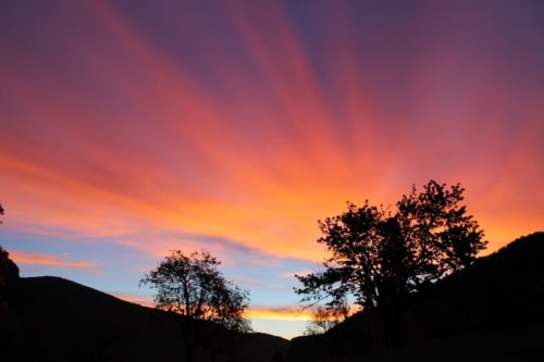 Coucher de soleil spectaculaire sur la vallée de Rémuzat à Entre Terre Et Ciel, silhouettes d'arbres sur ciel orange et violet