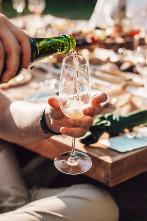 champagne tasting - drinking champagne - champagne fete - toasting - tasting- getting drunk - 
