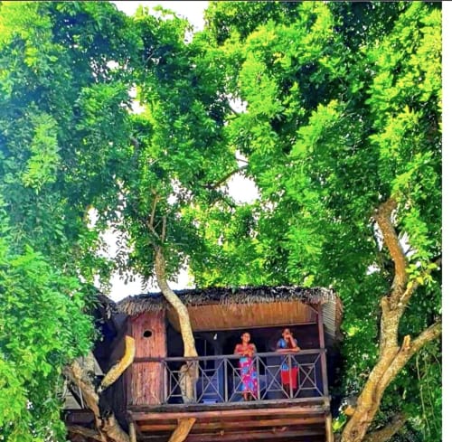 cabane dans les arbres sur une plage best hôtel île Sainte Marie Madagascar Ecolodge le Ravoraha