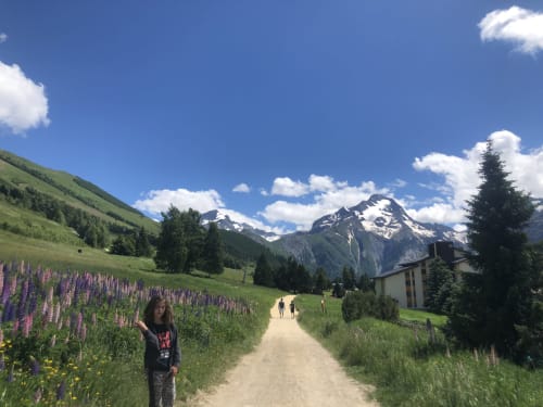 Alpine valley trail with purple wildflowers, snow-capped peaks, and traditional building near Hermonville