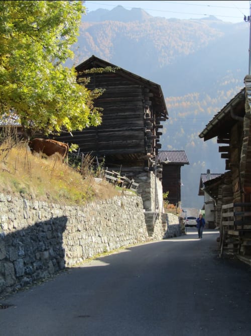 chalet à louer au coeur des alpes - village de Mase 
