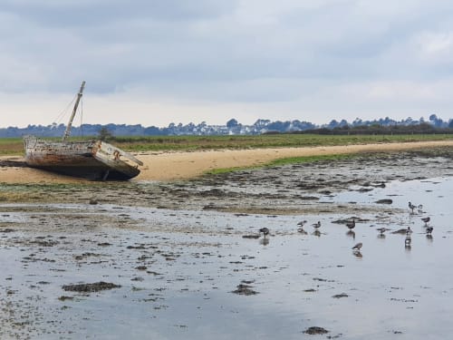 Morbihan - marrée basse - Baden 