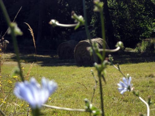 les gîtes de petrocoriis - gîte  au calme en dordogne