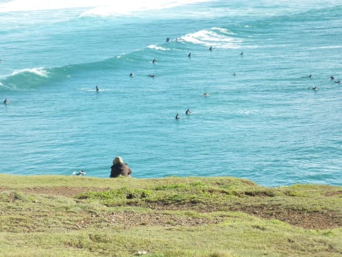 Surf sur l'Ile de Crozon | Gîte et chambre d'hôtes de Kerdrein