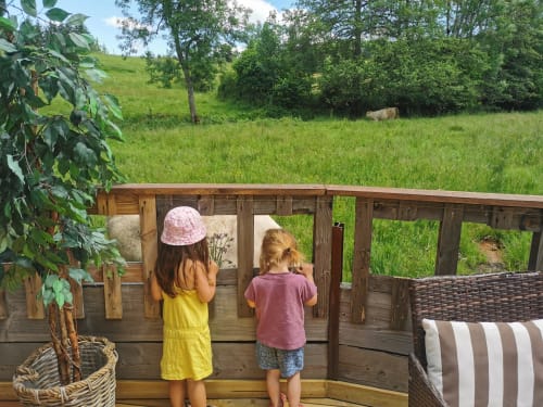 Découvrir les vaches en vacances en famille à la campagne au Moulin de la Fortie, gîte en auvergne