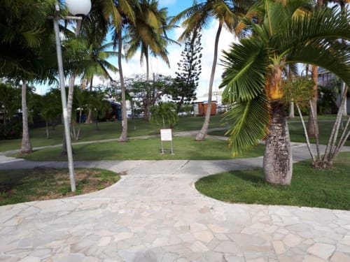 Tropical palm-lined walkway at Studio Face Marina in Saint-François, Guadeloupe, with stone patio and manicured lawn
