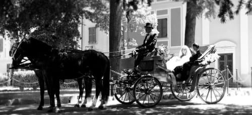 Eventi - Villa Scati B&B e appartamenti | Melazzo, Piemonte - parcheggio, piscina e palestra, massaggi, ristorante, cantine, bar, ricevimenti, matrimoni, eventi 