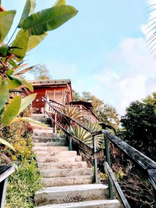 Escalera tropical con frondas de palmera que conducen a bungalow rojo en Le Bougainvillier Blanc, Pointe Noire