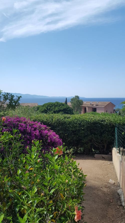 Villa corse avec bougainvillées roses, vue mer et jardin méditerranéen