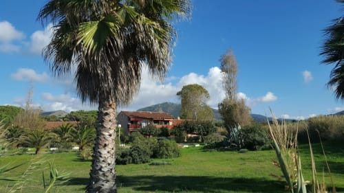 Villa corse rustique avec jardins paysagés, palmiers et vue sur les montagnes à Au Golfe de lava