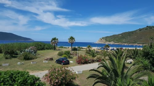 Appartement en première ligne de plage corse avec vue mer, palmiers et parking près de la plage de sable et des eaux bleues méditerranéennes