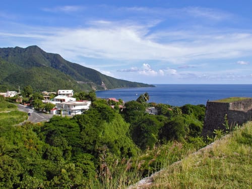 must-see Basse Terre Guadeloupe - the white bougainvillea