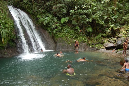 waterfall national park Guadeloupe - the white bougainvillea