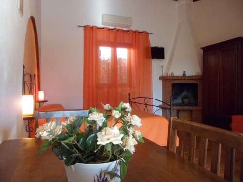 Ampia camera con fiori bianchi, tende arancioni, camino e mobili in legno presso Podere Oca Bianca B&B a Pescia Romana