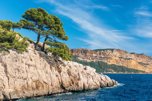Dramatic white limestone cliffs with pine tree overlooking turquoise Mediterranean sea near Menton, French Riviera