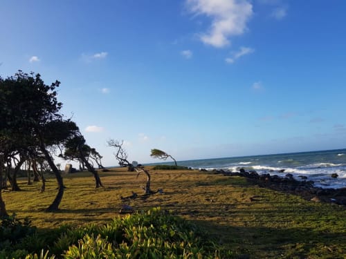 Paysage côtier balayé par les vents aux Gîtes villa Bagatelle à Sainte-Rose, Guadeloupe avec vue sur l'océan