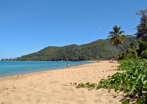 Plage tropicale du gîte villa Bagatelle à Sainte-Rose, Guadeloupe avec ses eaux turquoise, rivage de sable fin et collines verdoyantes.