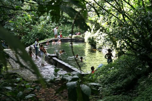 Clients se baignant dans la piscine naturelle entourée de végétation luxuriante aux Gites villa Bagatelle, Sainte-Rose, Guadeloupe