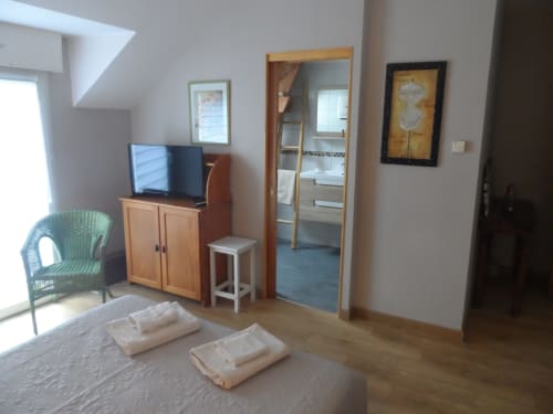 Chambre L'Anis du CafecouetBreizh B&B à Guipry-Messac : lit, TV, vue jardin et équipements modernes