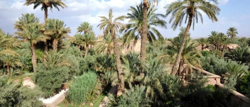 L'Ma Lodge Morocco holidays in the heart of the palm grove of Skoura. Morocco house rental. Morocco wedding. Yoga Morocco course. Family vacation in Morocco. Original holidays in Morocco.
