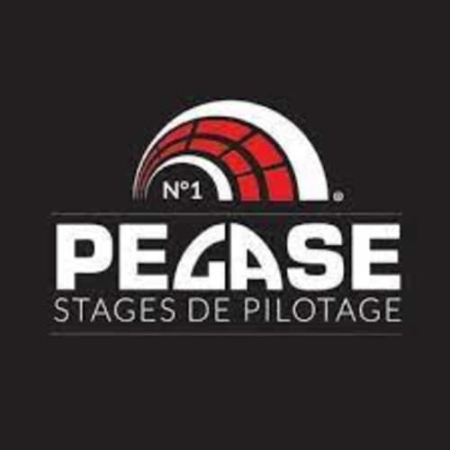 Logo Pegase Stages de Pilotage - école de pilotage près du gîte CafecouetBreizh B&B à Guipry-Messac, France