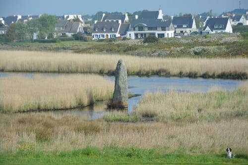 Paysage de marais côtier avec monument en pierre, maisons bretonnes traditionnelles et chien au gîte CafecouetBreizh à Guipry-Messac