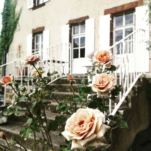 entrée fleurie du Chateau Le Breuil 